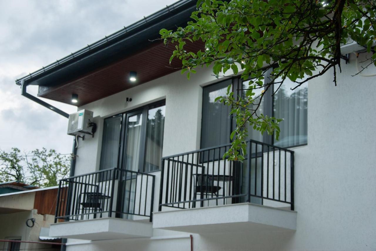 Likani Home Borjomi Bagian luar foto