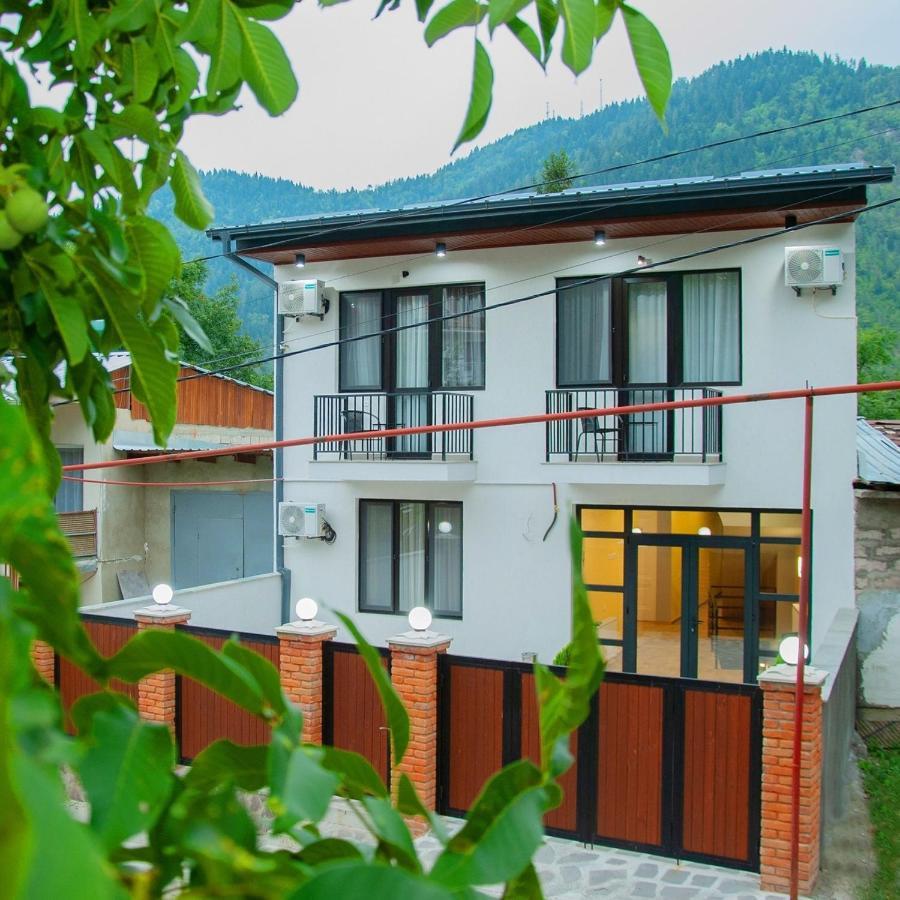 Likani Home Borjomi Bagian luar foto